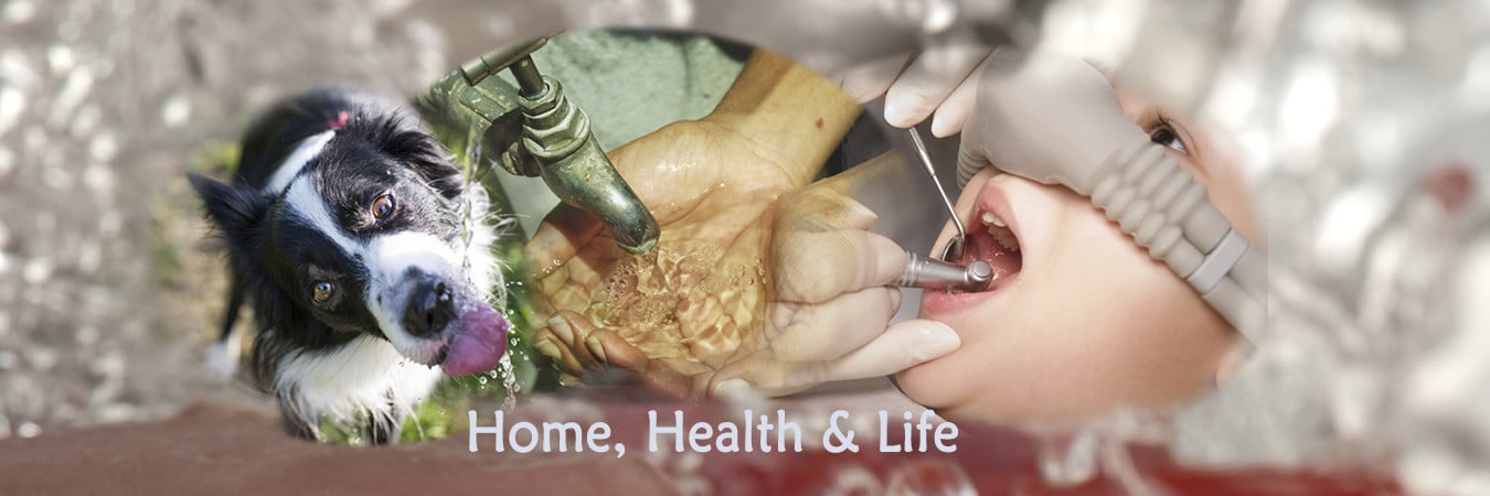 Home, health & life